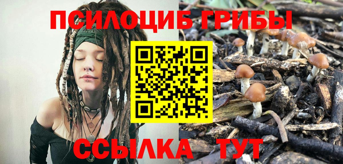 Галлюциногенные грибы MAGIC MUSHROOMS Бугульма