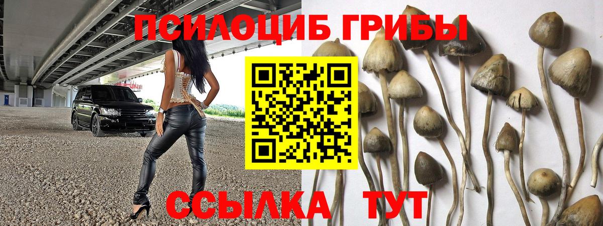Псилоцибиновые грибы Psilocybine cubensis  Вход с VPN  Бугульма  Галлюциногенные грибы Magic Shrooms 
